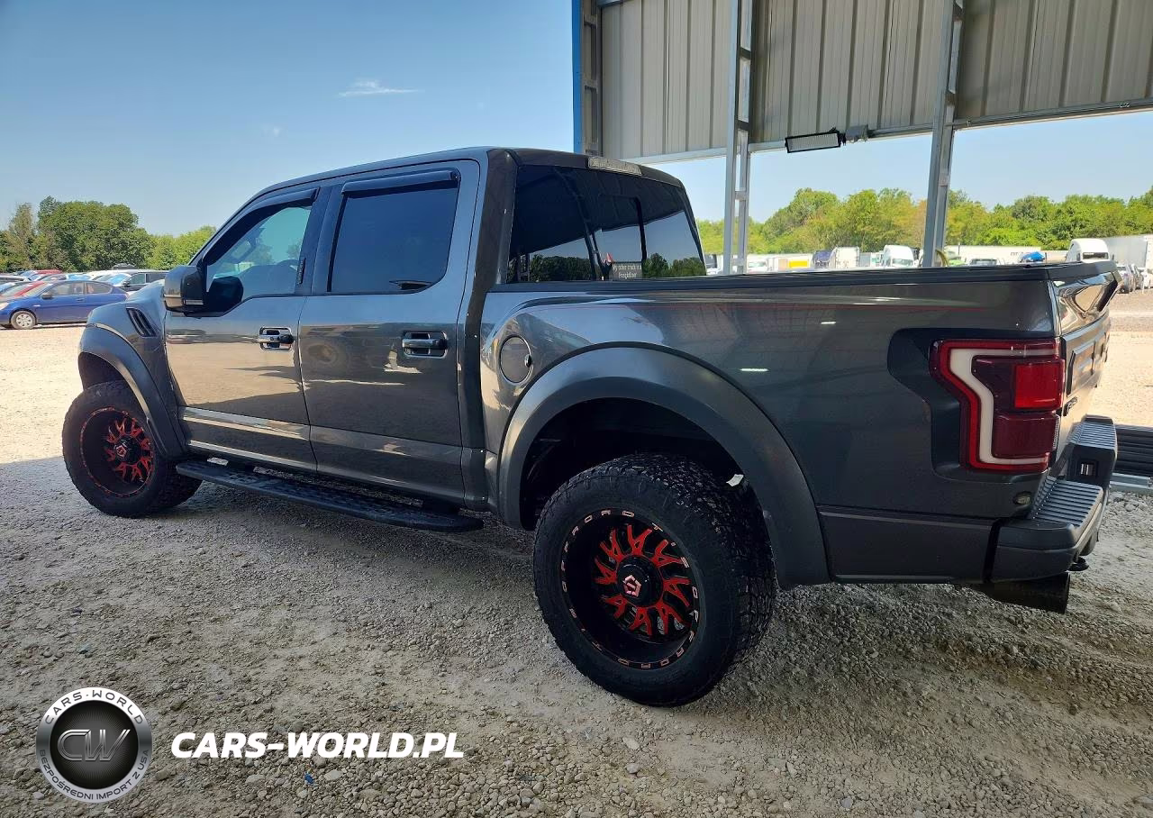 2017 Ford F150 Raptor VIN:1FTFW1RG0HFB34210 - 2