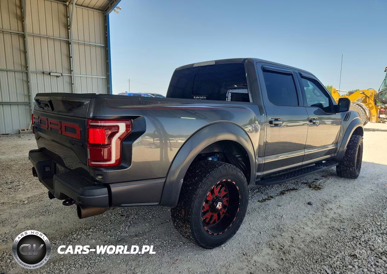 2017 Ford F150 Raptor VIN:1FTFW1RG0HFB34210 - 3