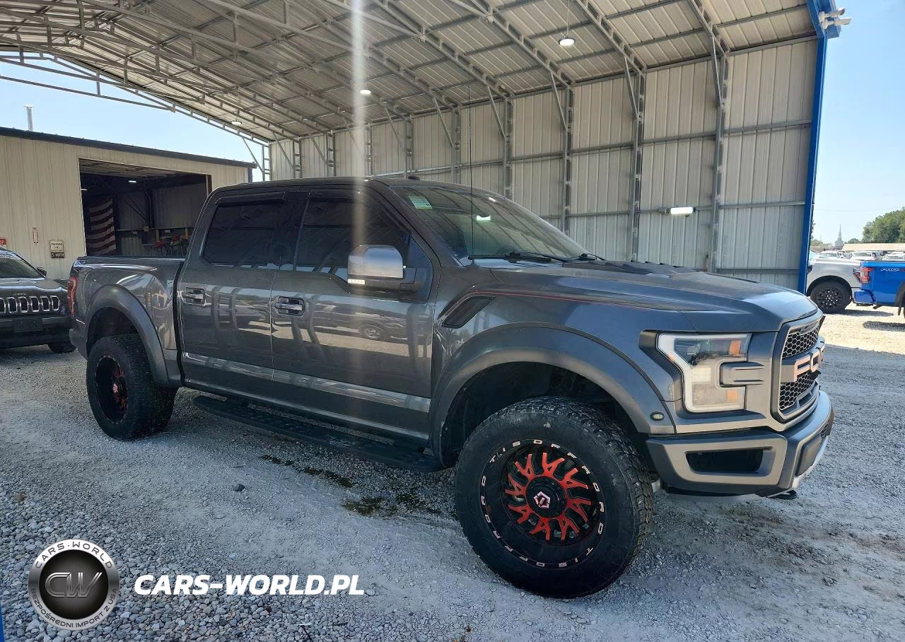 2017 Ford F150 Raptor VIN:1FTFW1RG0HFB34210 - 4