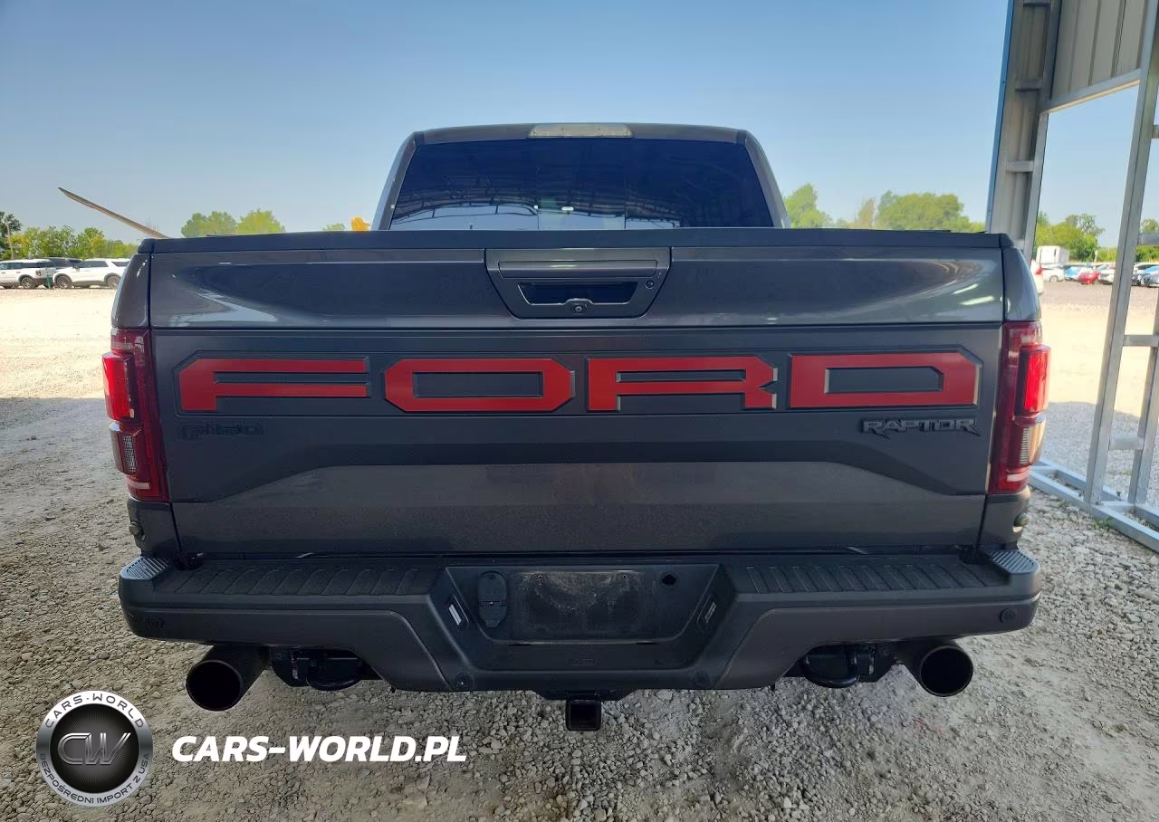 2017 Ford F150 Raptor VIN:1FTFW1RG0HFB34210 - 6