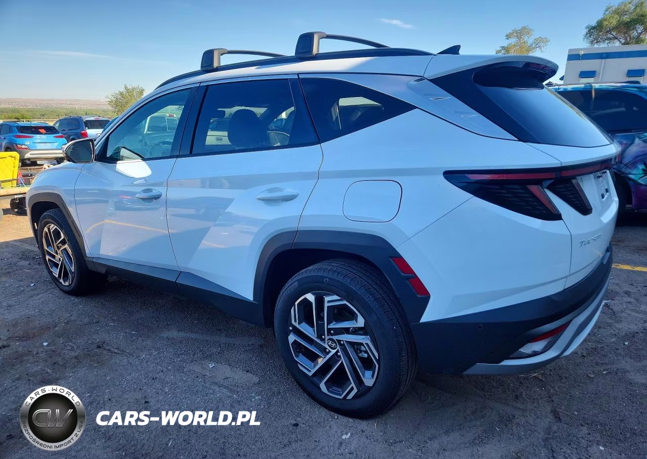 2025 Hyundai Tucson Limited VIN:KM8JEDD19SU396503 - 2