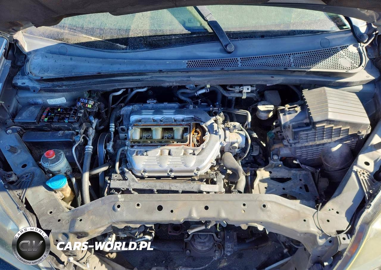 2009 Honda Odyssey Exl VIN:5FNRL38659B409974 - 12