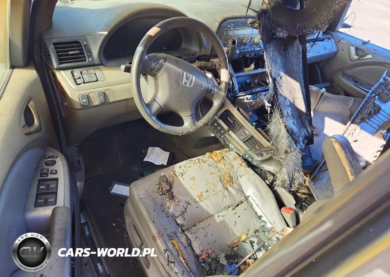2009 Honda Odyssey Exl VIN:5FNRL38659B409974 - 8