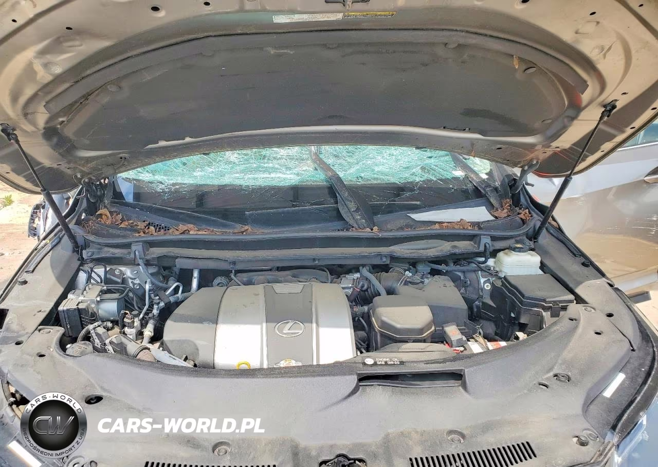 2020 Lexus Rx 350 VIN:2T2HZMAA1LC163799 - 11