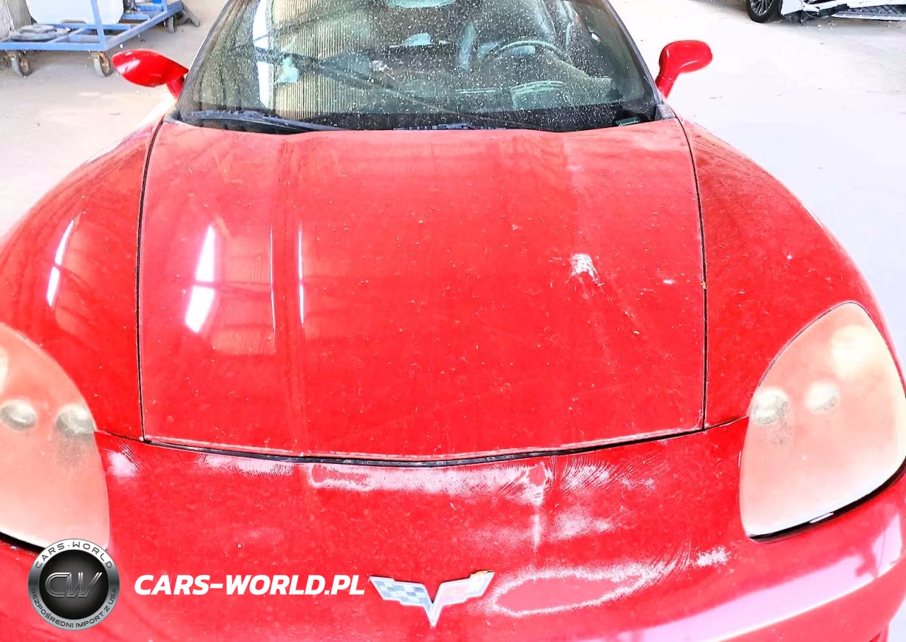 2005 Chevrolet Corvette VIN:1G1YY24U355103100 - 11