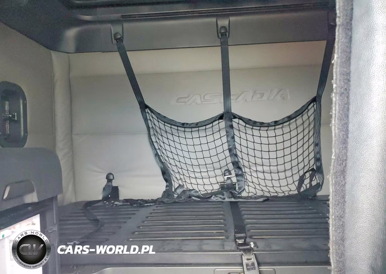 2020 Freightliner Cascadia 126 VIN:3AKJHHDR2LSLV6941 - 10