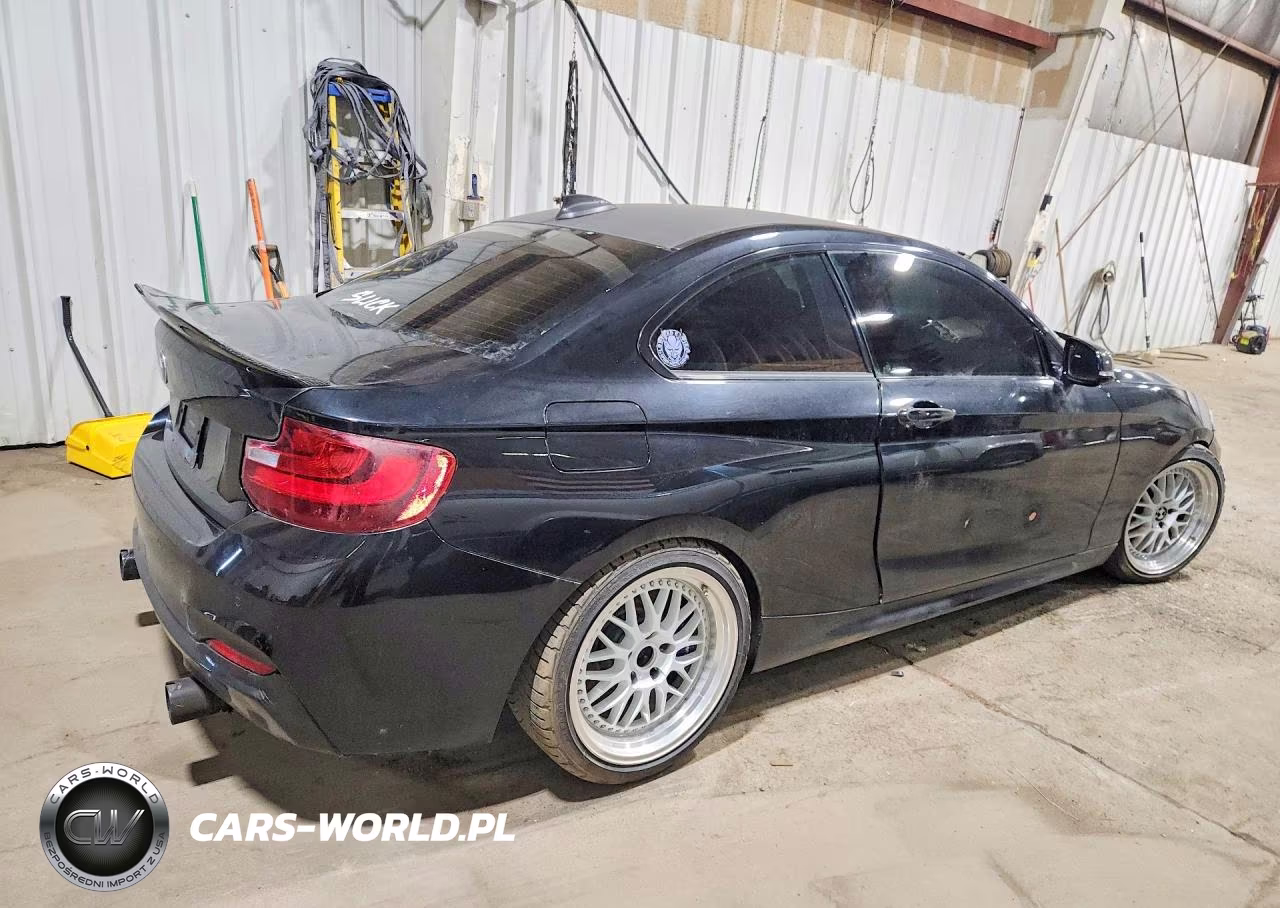 2016 BMW M235Xi VIN:WBA1J9C52GV696397 - 3