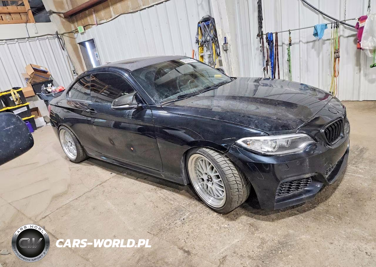 2016 BMW M235Xi VIN:WBA1J9C52GV696397 - 4