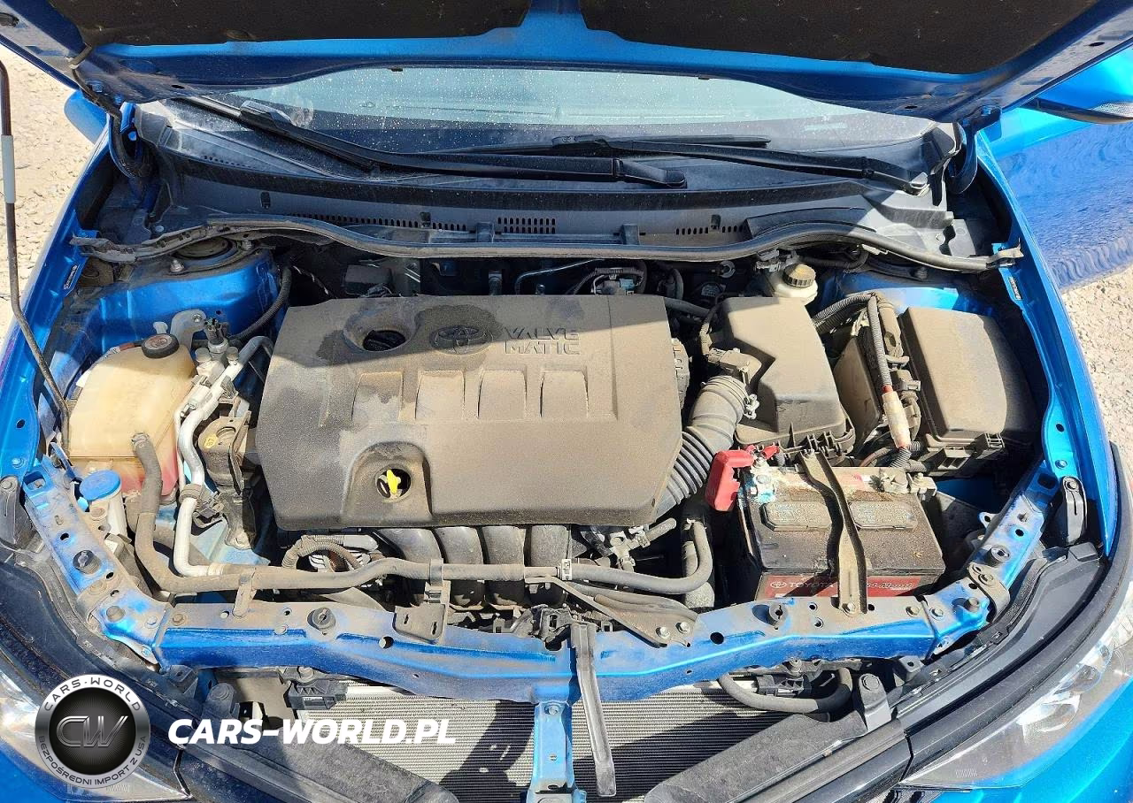 2018 Toyota Corolla Im Base VIN:JTNKARJE1JJ558743 - 11