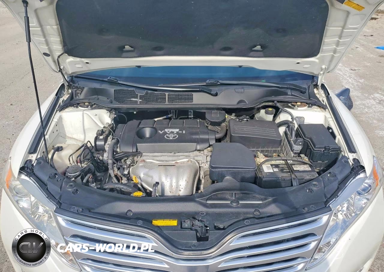 2009 Toyota Venza Fwd 4Cyl VIN:4T3ZE11A89U008376 - 12