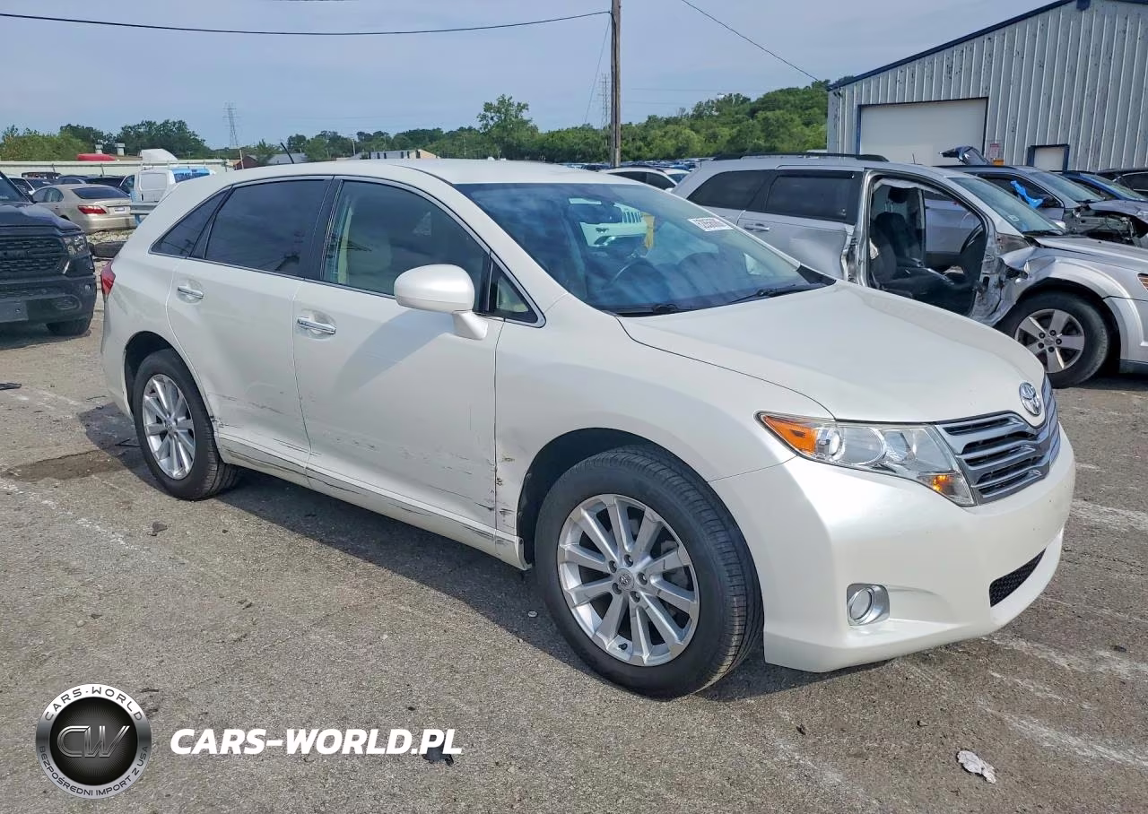2009 Toyota Venza Fwd 4Cyl VIN:4T3ZE11A89U008376 - 4