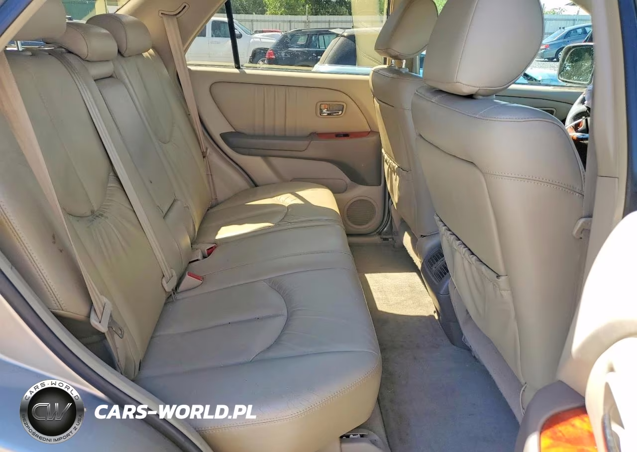 2003 Lexus Rx 300 VIN:JTJHF10U230303373 - 11