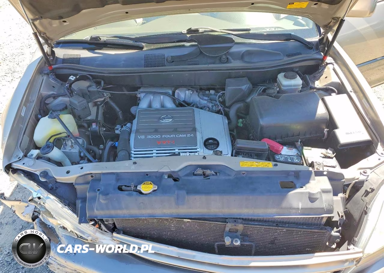 2003 Lexus Rx 300 VIN:JTJHF10U230303373 - 12