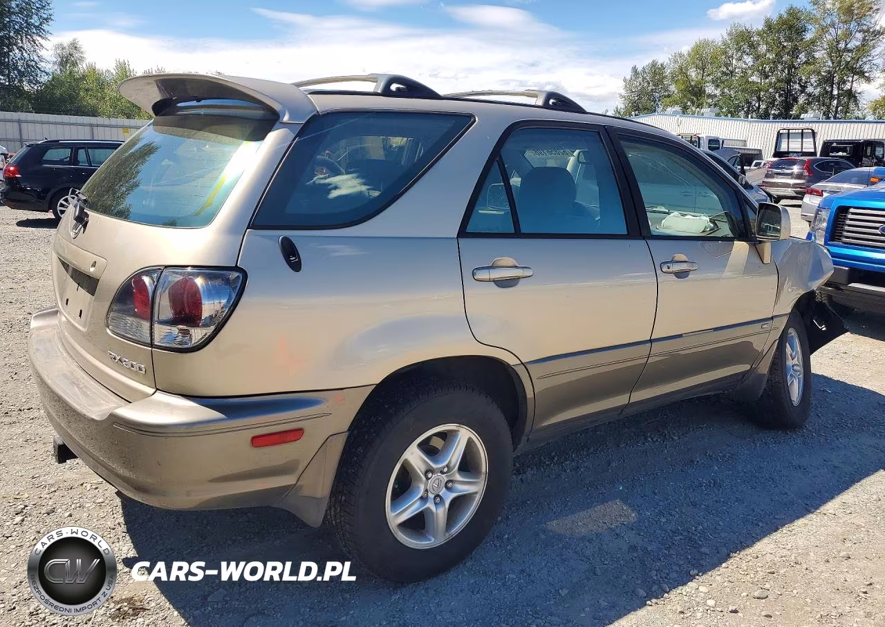 2003 Lexus Rx 300 VIN:JTJHF10U230303373 - 3