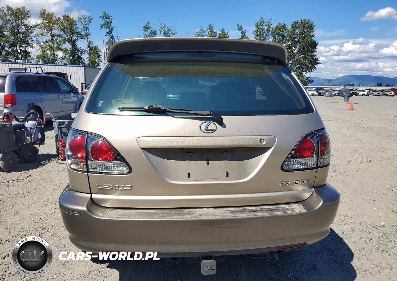 2003 Lexus Rx 300 VIN:JTJHF10U230303373 - 6