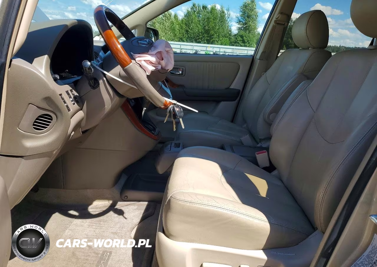 2003 Lexus Rx 300 VIN:JTJHF10U230303373 - 7
