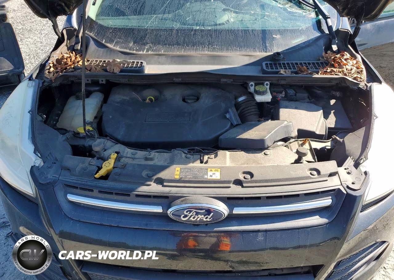 2014 Ford Escape Se VIN:1FMCU9G91EUD33152 - 12