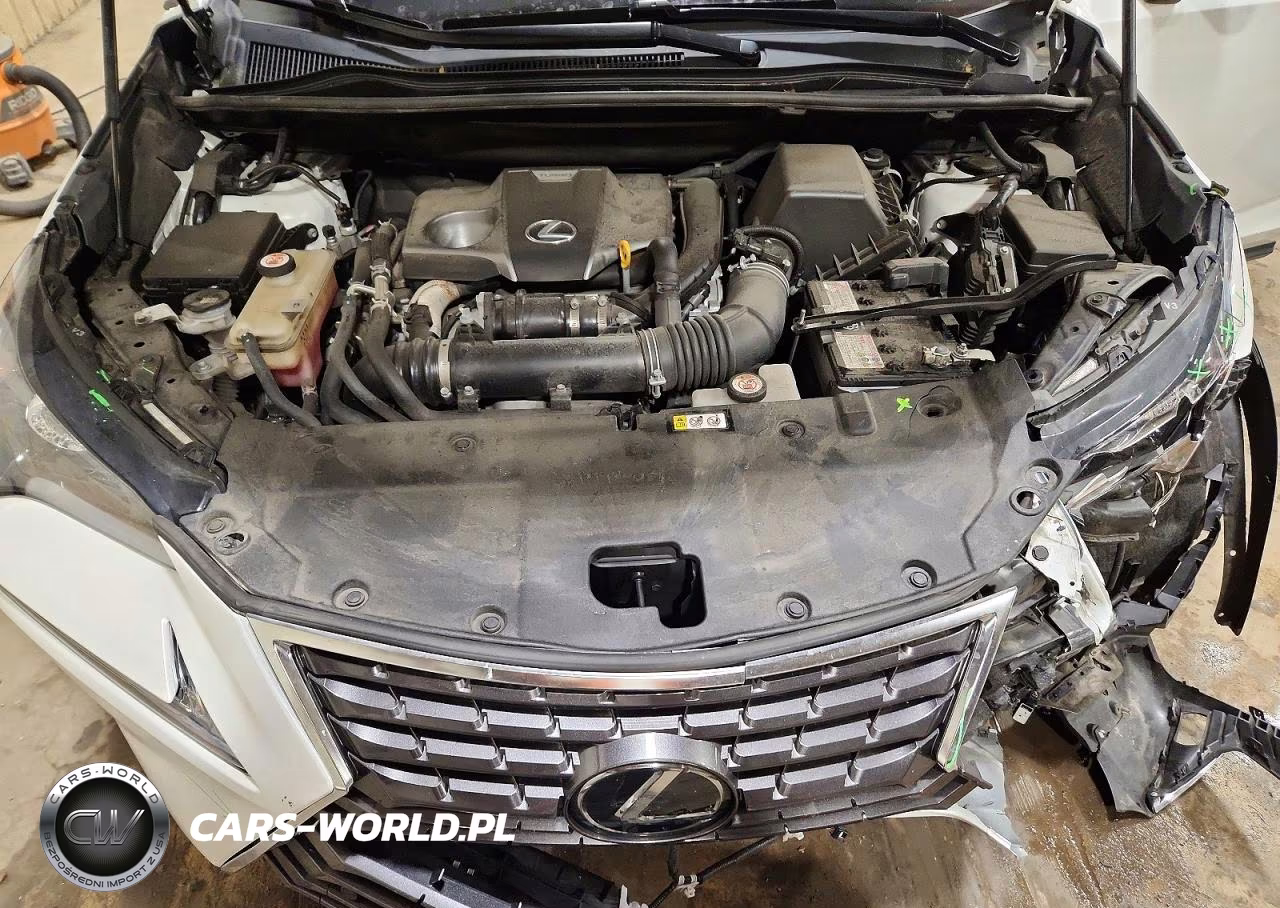 2021 Lexus Nx 300 Base VIN:JTJGARDZ4M5019245 - 12