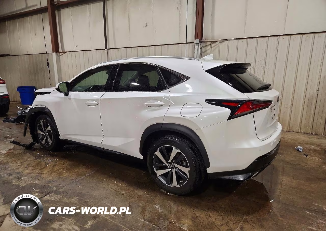 2021 Lexus Nx 300 Base VIN:JTJGARDZ4M5019245 - 2