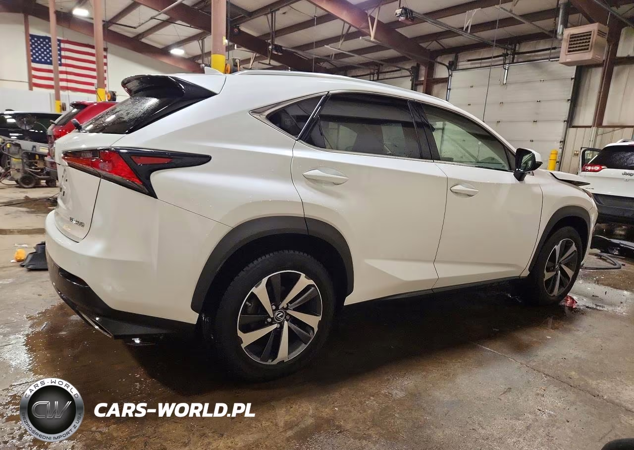 2021 Lexus Nx 300 Base VIN:JTJGARDZ4M5019245 - 3