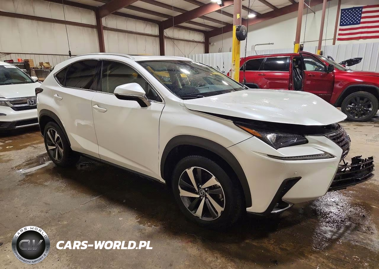 2021 Lexus Nx 300 Base VIN:JTJGARDZ4M5019245 - 4