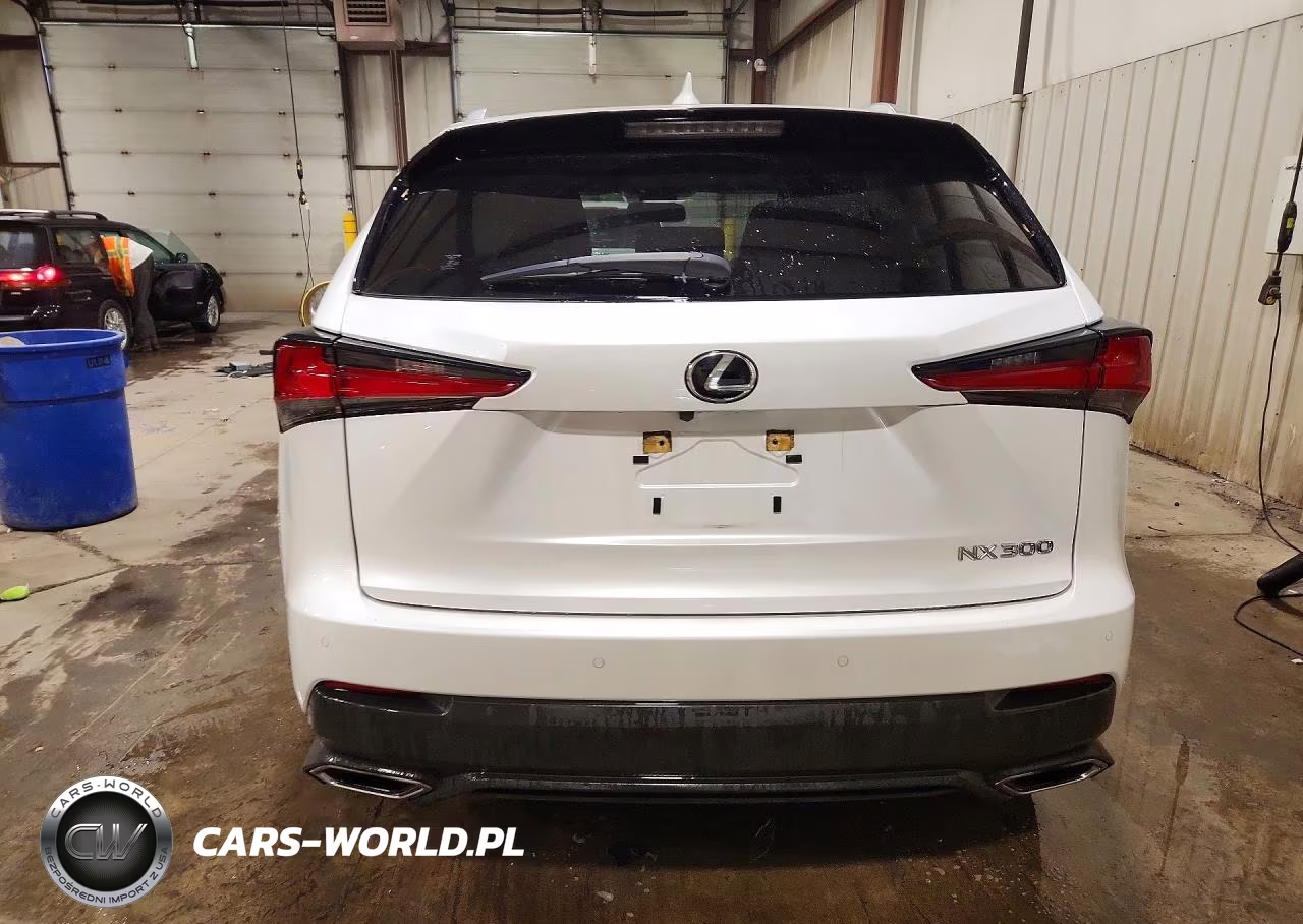 2021 Lexus Nx 300 Base VIN:JTJGARDZ4M5019245 - 6
