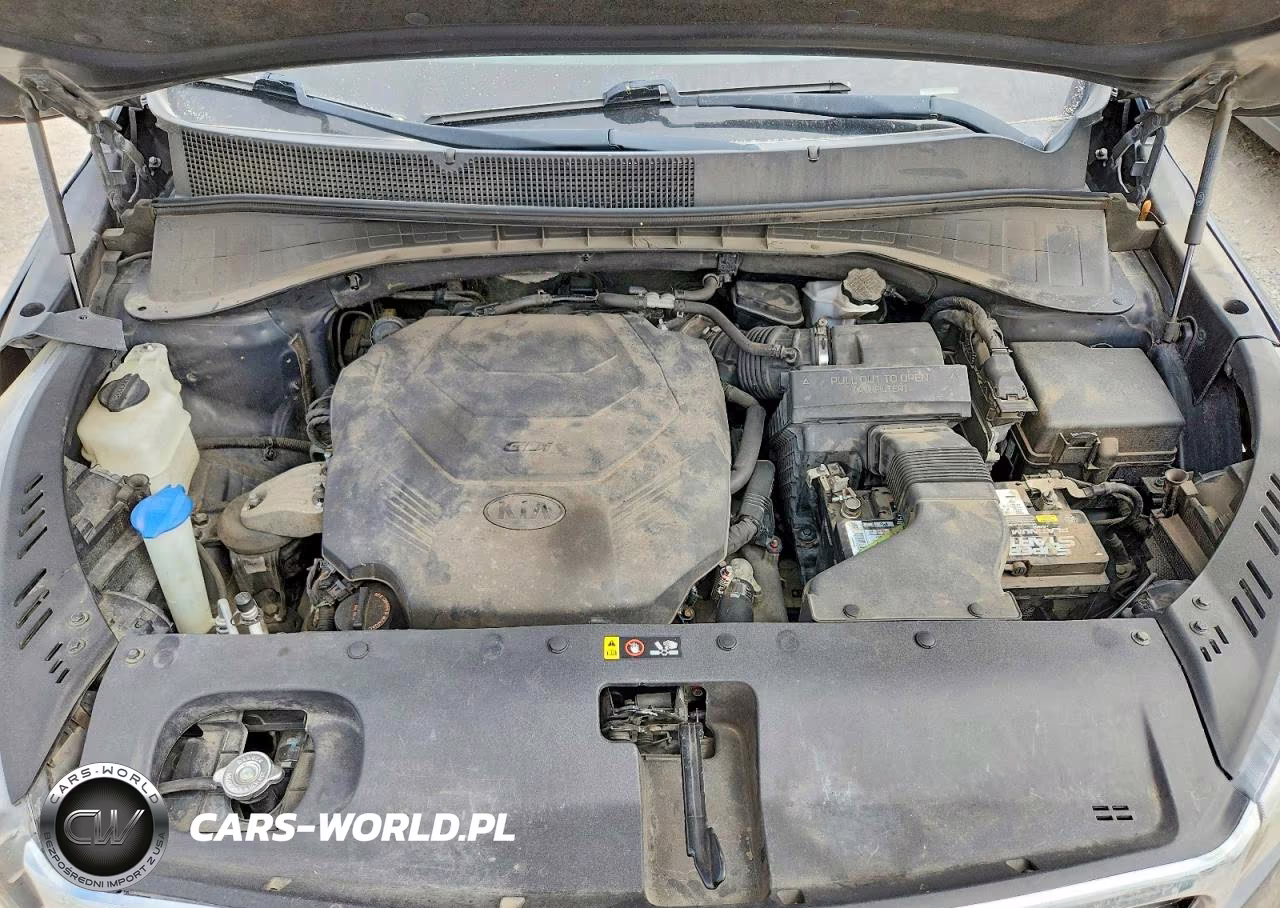2019 Kia Sorento Lx V6 VIN:5XYPG4A57KG489425 - 12