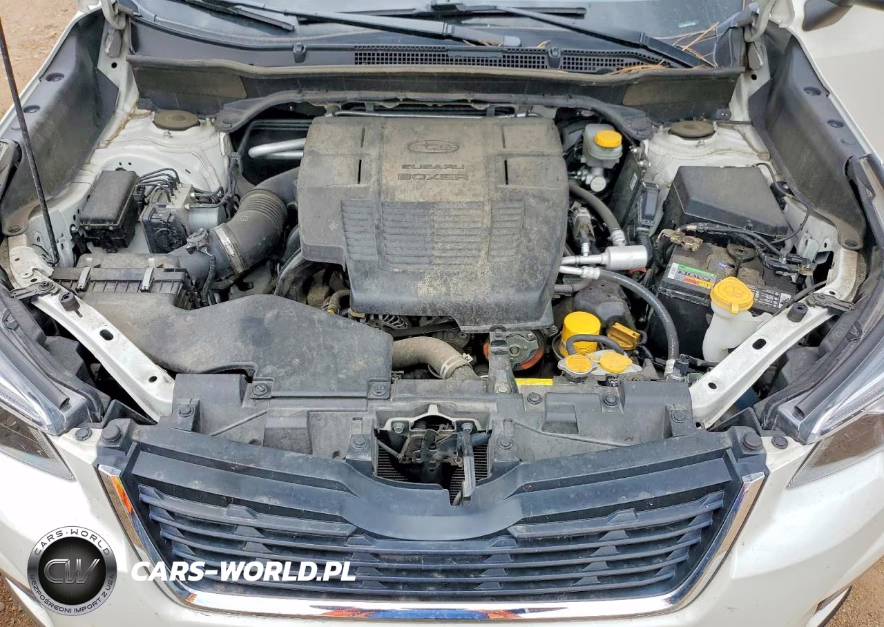 2019 Subaru Forester Touring VIN:JF2SKAWC4KH512666 - 12
