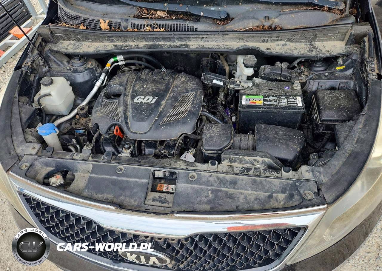 2014 Kia Sportage Lx VIN:KNDPBCAC0E7642624 - 12
