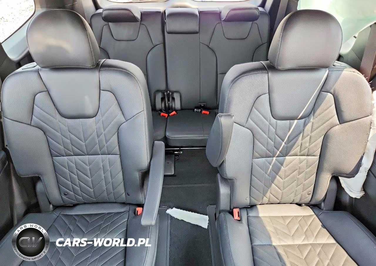 2025 Kia Telluride Sx X-Line VIN:5XYP5DGC3SG627666 - 10