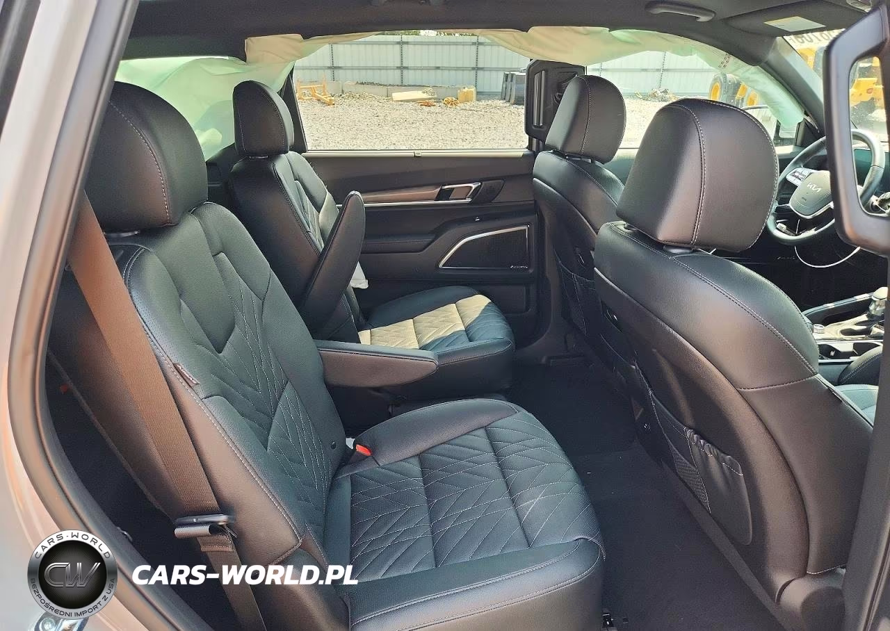 2025 Kia Telluride Sx X-Line VIN:5XYP5DGC3SG627666 - 11