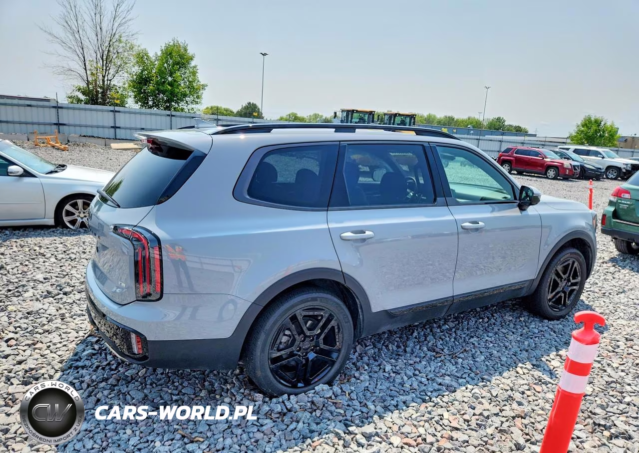 2025 Kia Telluride Sx X-Line VIN:5XYP5DGC3SG627666 - 3