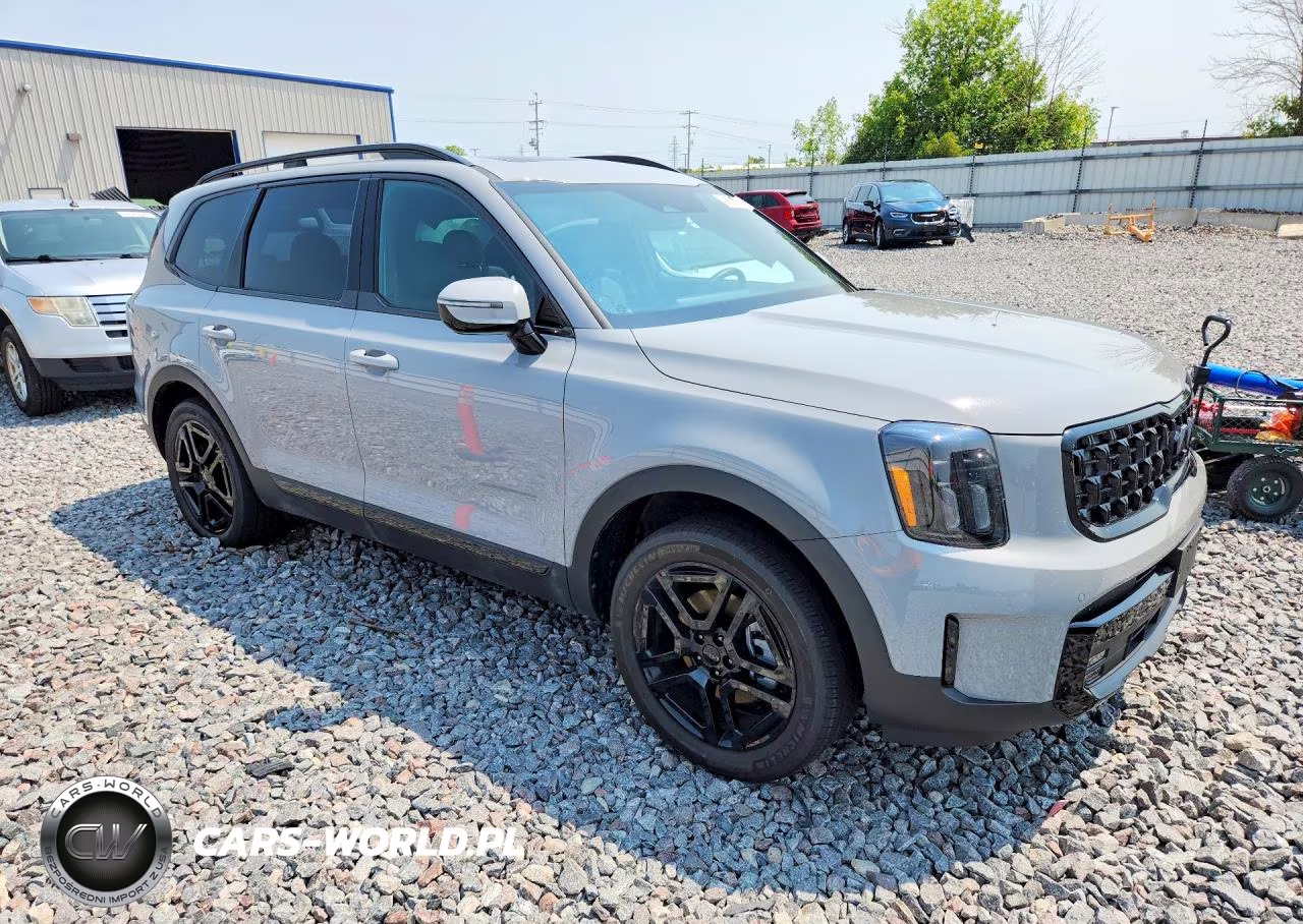 2025 Kia Telluride Sx X-Line VIN:5XYP5DGC3SG627666 - 4