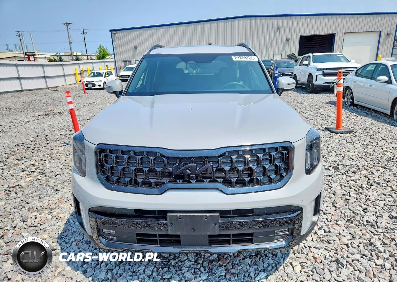 2025 Kia Telluride Sx X-Line VIN:5XYP5DGC3SG627666 - 5