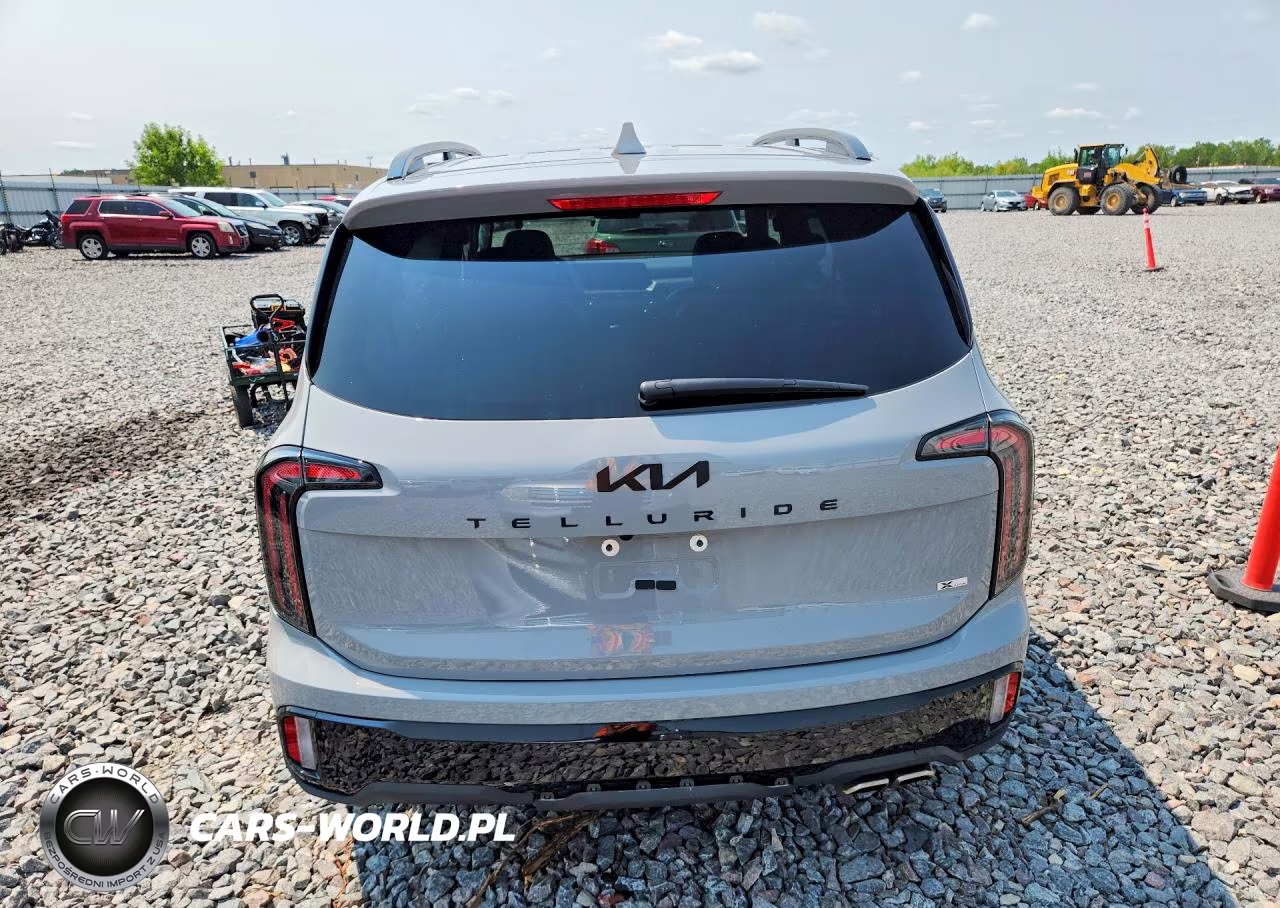 2025 Kia Telluride Sx X-Line VIN:5XYP5DGC3SG627666 - 6
