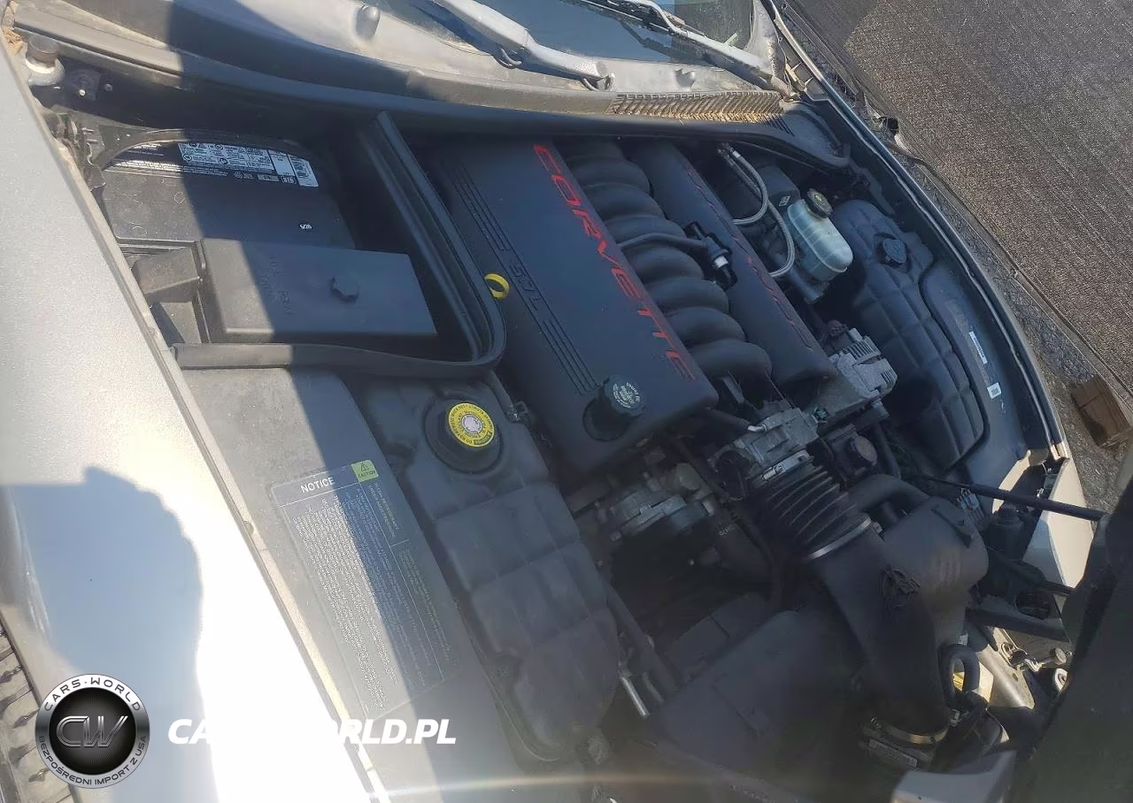 1998 Chevrolet Corvette VIN:1G1YY22G9W5122801 - 11