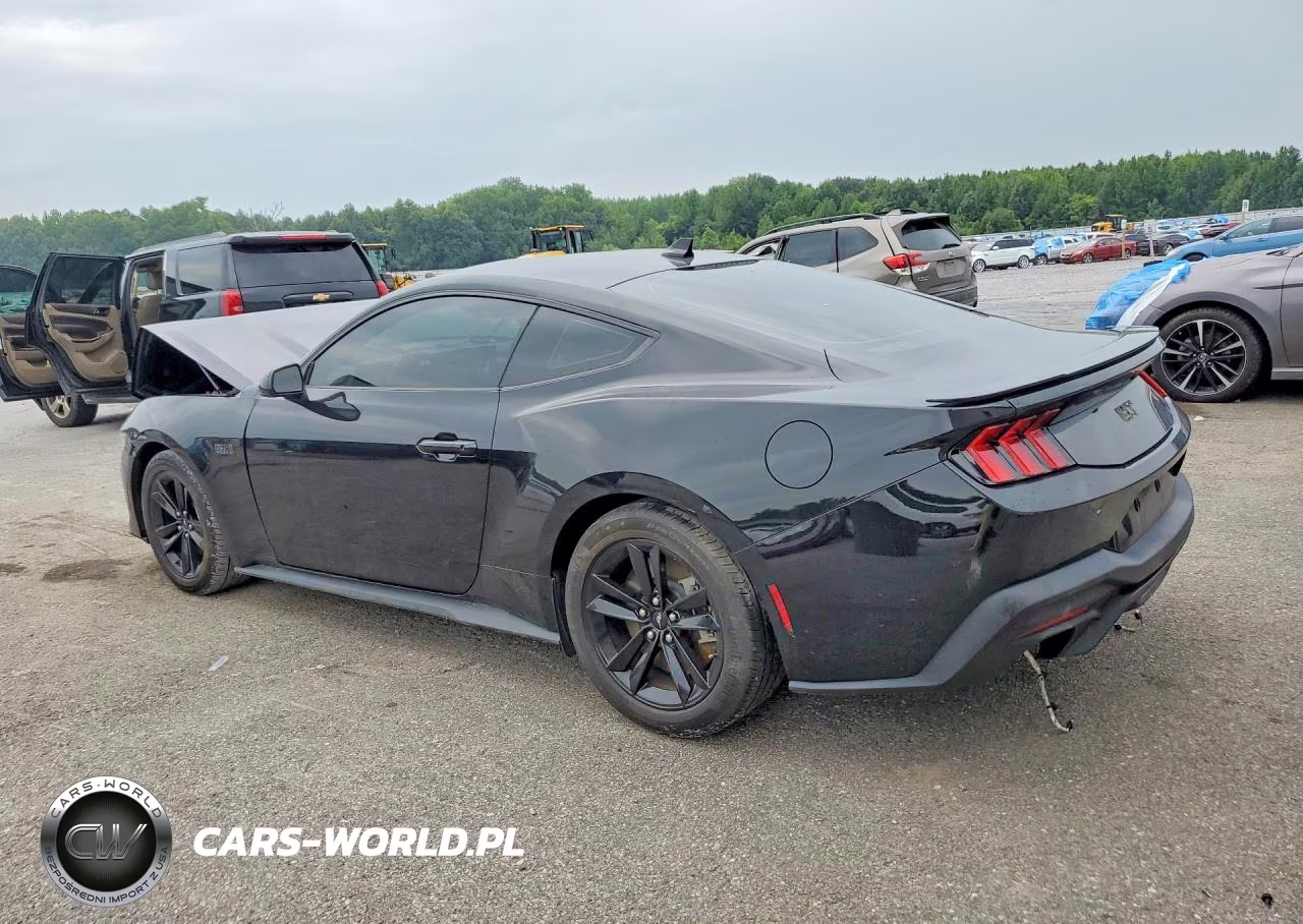 2024 Ford Mustang VIN:1FA6P8CF4R5422167 - 2