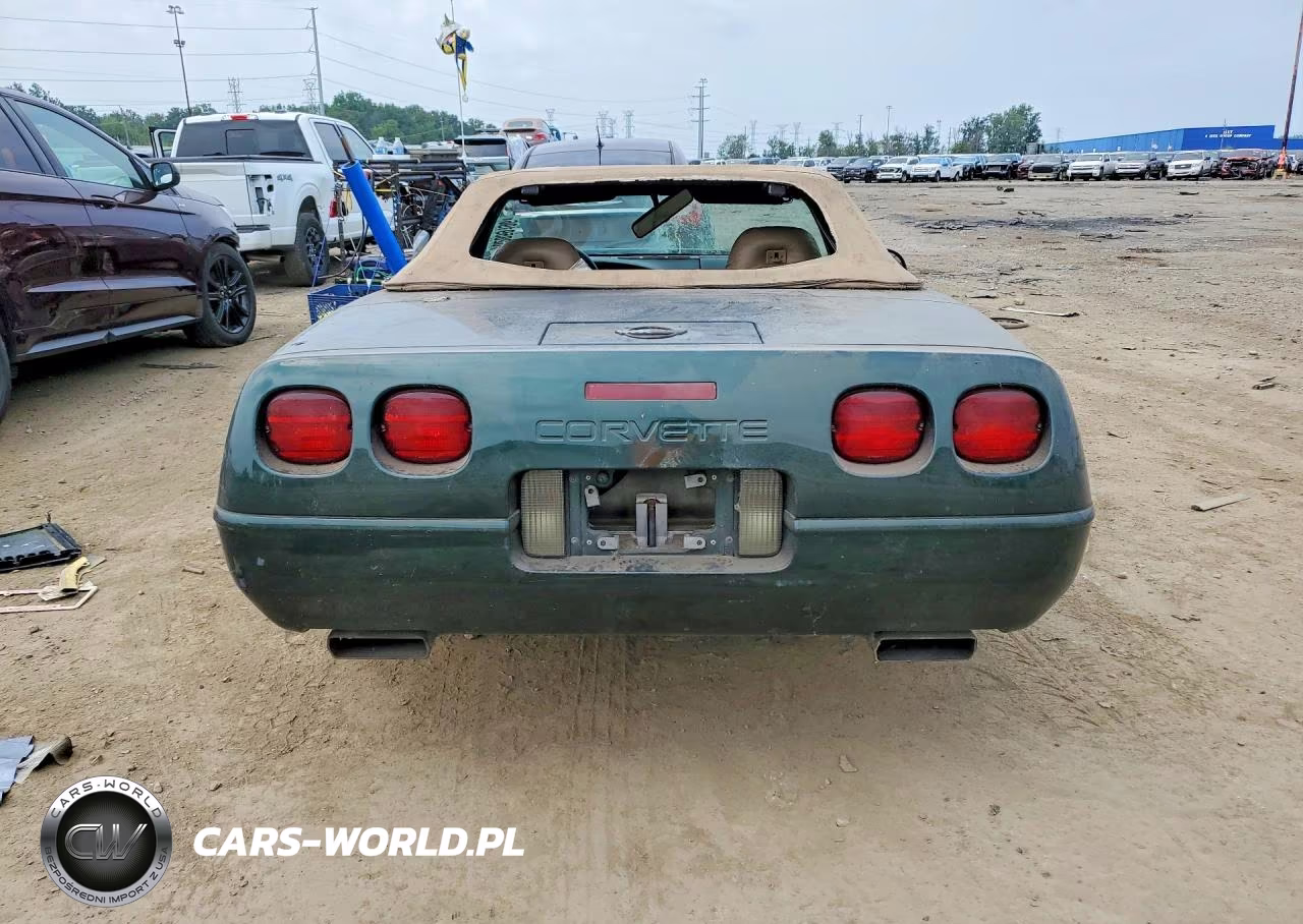 1996 Chevrolet Corvette VIN:1G1YY32P1T5110630 - 6