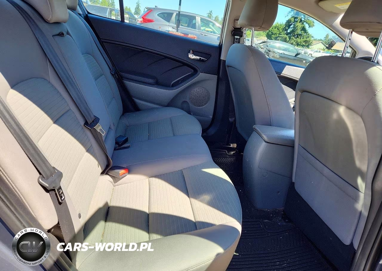 2015 Kia Forte Lx VIN:KNAFX4A63F5277766 - 10