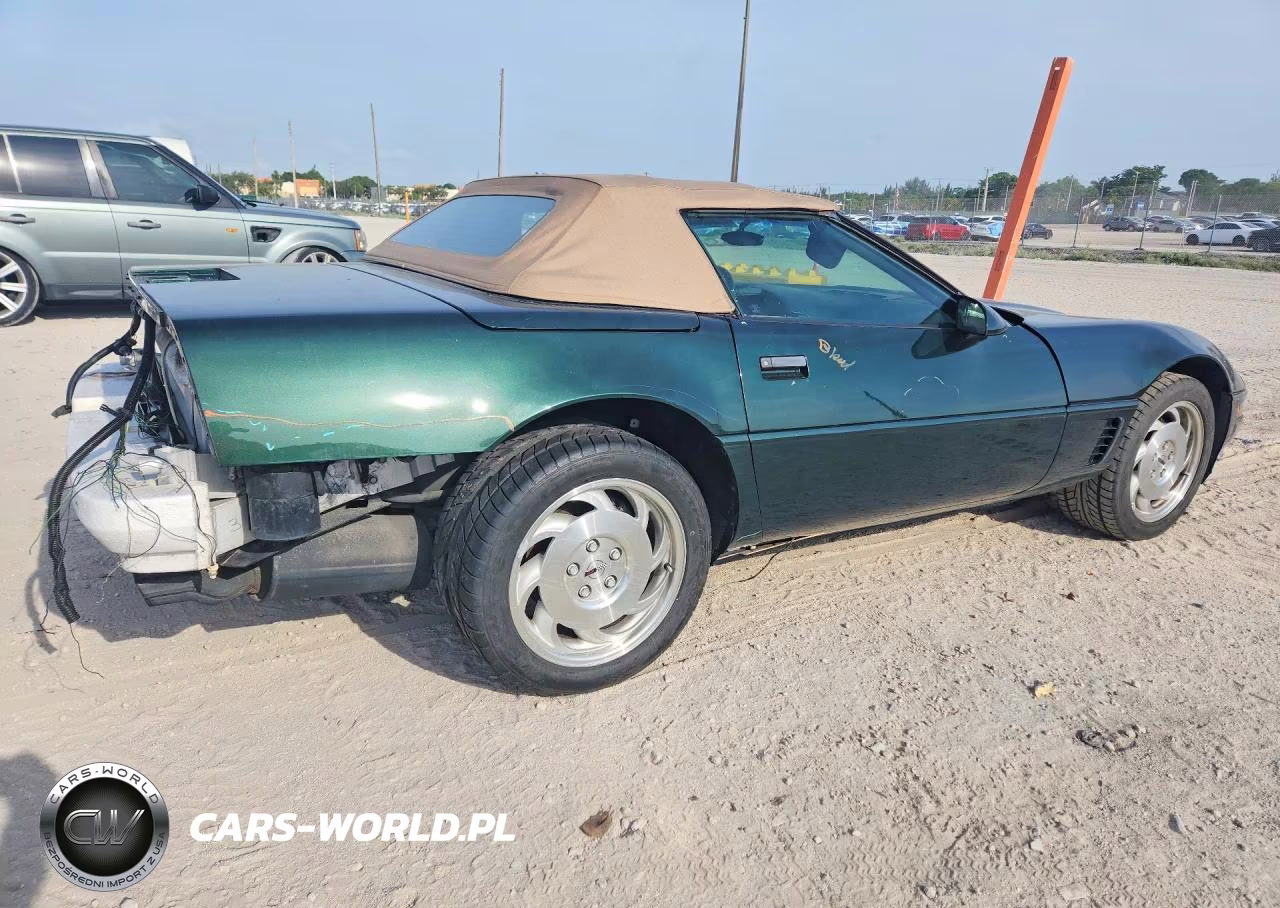1996 Chevrolet Corvette VIN:1G1YY32P6T5119954 - 3