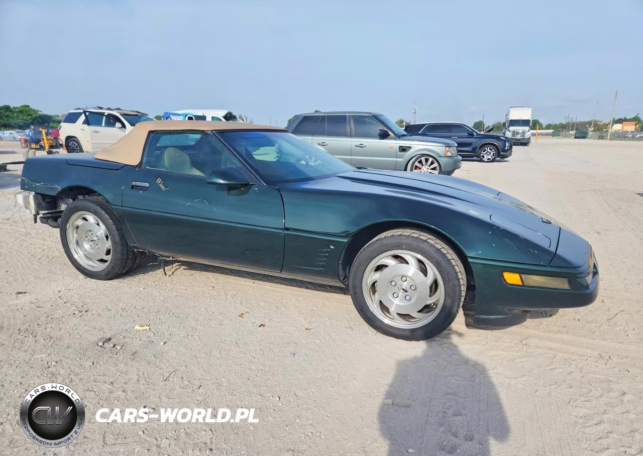 1996 Chevrolet Corvette VIN:1G1YY32P6T5119954 - 4