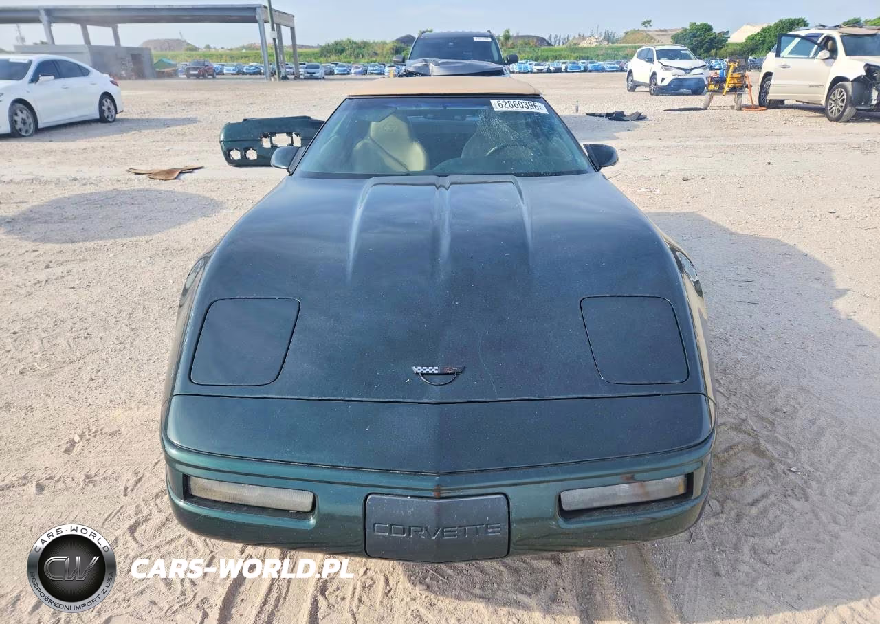 1996 Chevrolet Corvette VIN:1G1YY32P6T5119954 - 5