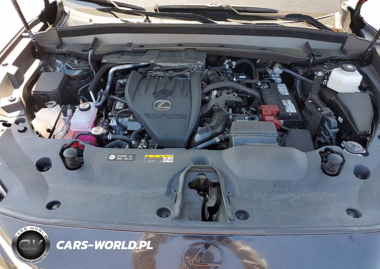 2025 Lexus Tx 350 Luxury VIN:5TDAAAB69SS040800 - 12