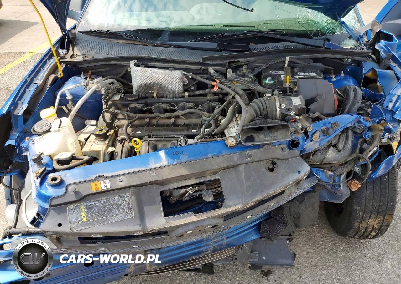 2010 Ford Focus S VIN:1FAHP3EN7AW295560 - 11