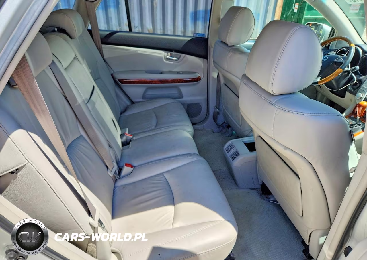 2006 Lexus Rx 330 VIN:2T2HA31U66C093829 - 10