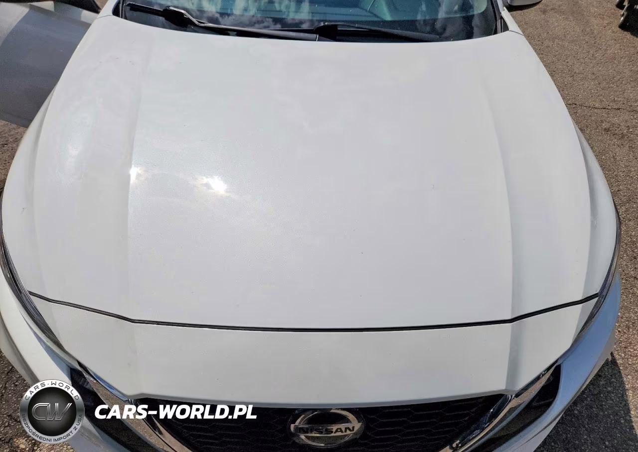 2021 Nissan Altima Sv VIN:1N4BL4DV6MN318538 - 11
