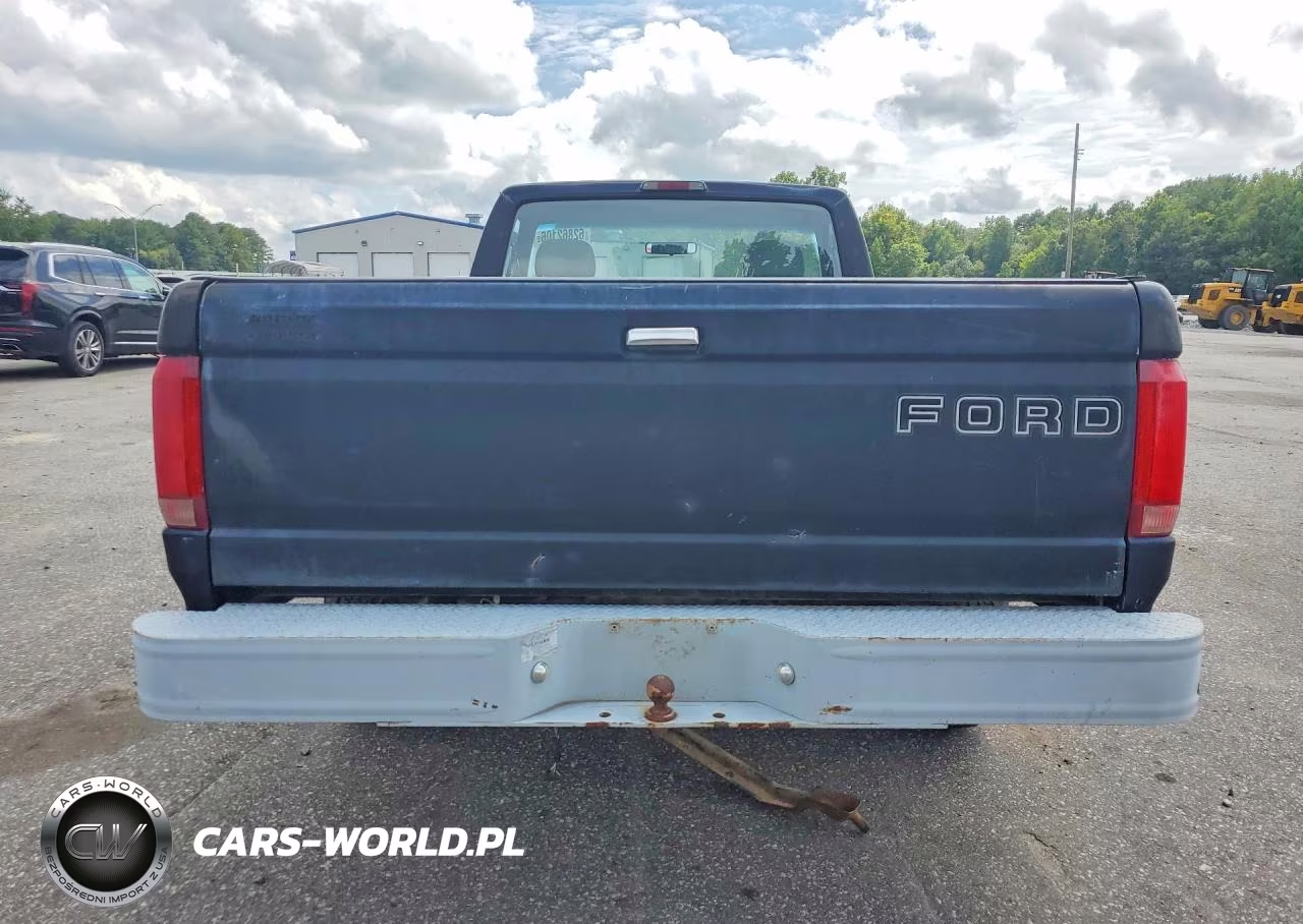 1994 Ford F150 VIN:1FTDF15Y7RNB61496 - 6