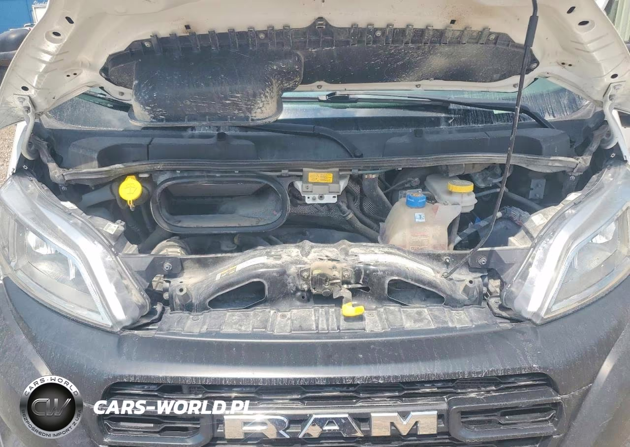 2023 Ram Promaster 2500 2500 High VIN:3C6LRVDG0PE571696 - 12