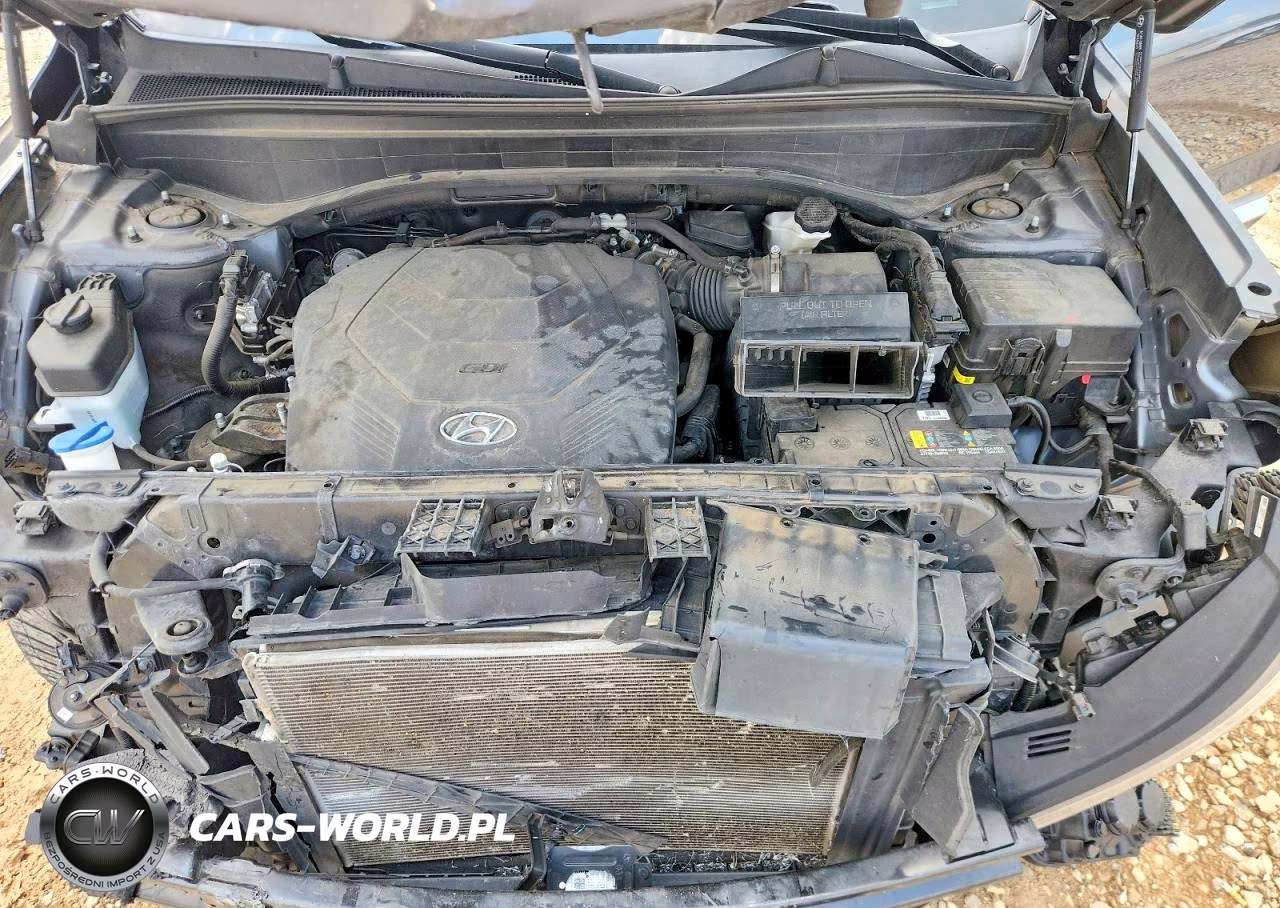 2020 Hyundai Palisade Sel VIN:KM8R44HE0LU114141 - 12