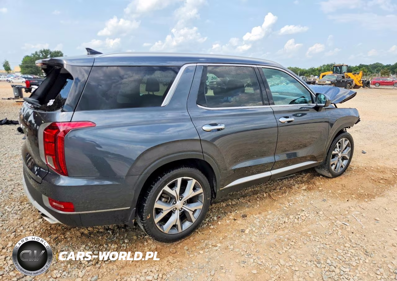 2020 Hyundai Palisade Sel VIN:KM8R44HE0LU114141 - 3